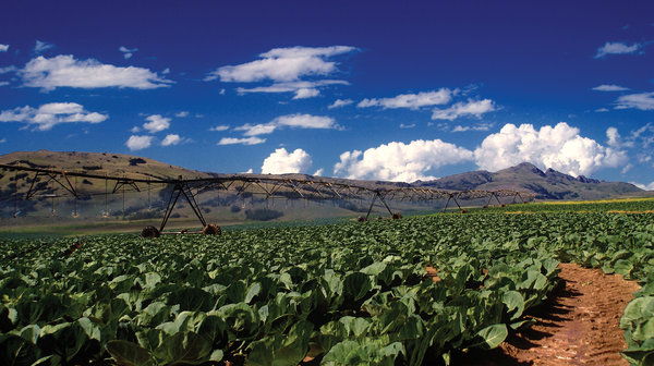 Farm Irrigation in the Drakens: Farm Irrigation in the southern Drakensberg town of Kokstad.