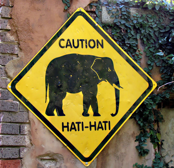 elephant walk warning