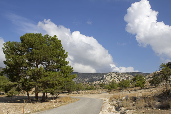 Cyprus mountain road 1