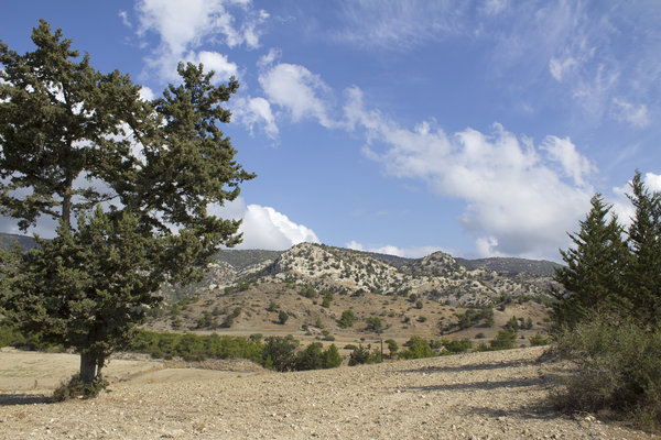 Cyprus landscape 09