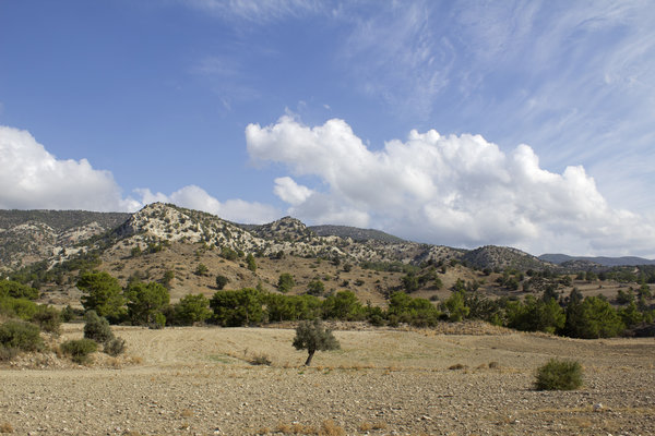 Cyprus landscape 11