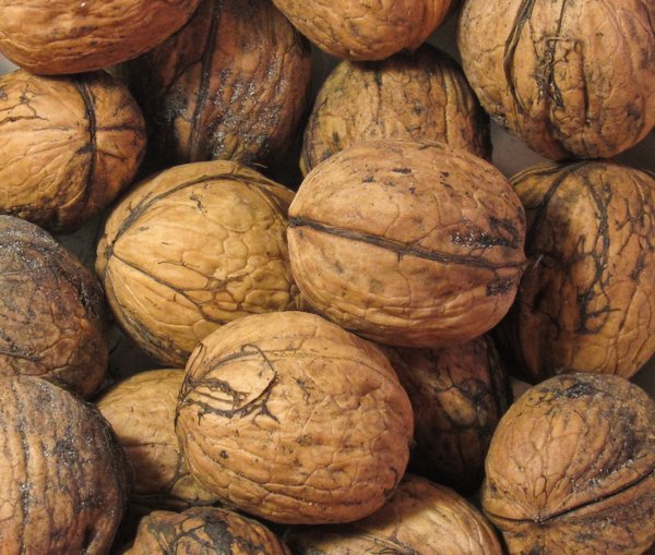 organic walnuts texture