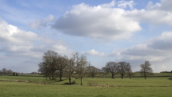 Sussex rural landscape