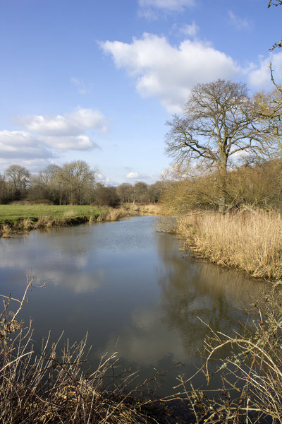 River in early spring