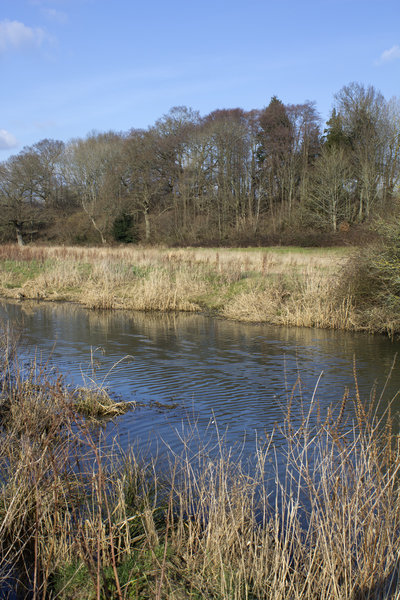 Rural English river