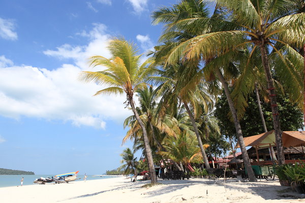 vacaciones en la isla tropical 4: 