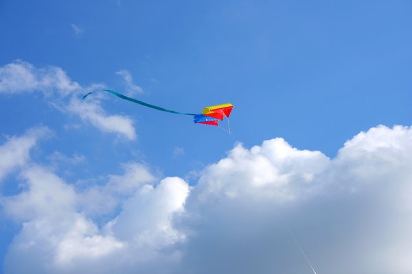 kite 2