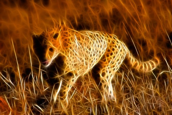 Sprinting Cheetah Abstract