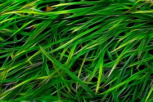 Grass Texture Abstract