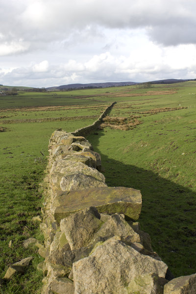 Old drystone wall