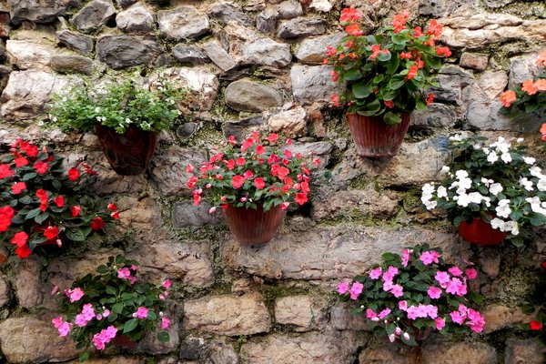 assorted potted flowers: assorted potted flowers arrangement against stone wall