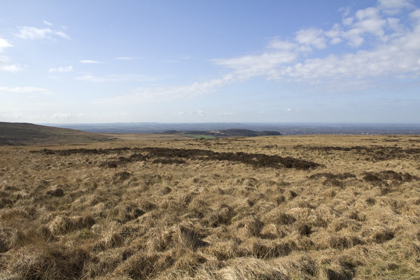 Moorland grass landscape