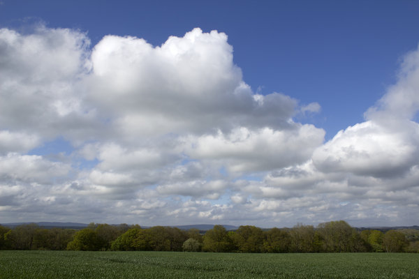 Spring landscape in England