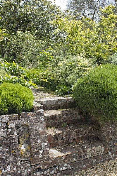 Old garden steps: Old brick steps in a garden in West Sussex, England.