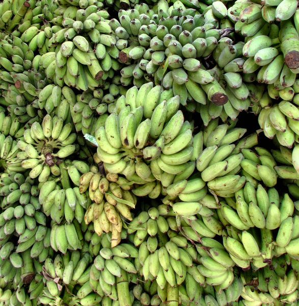 banana abundance2