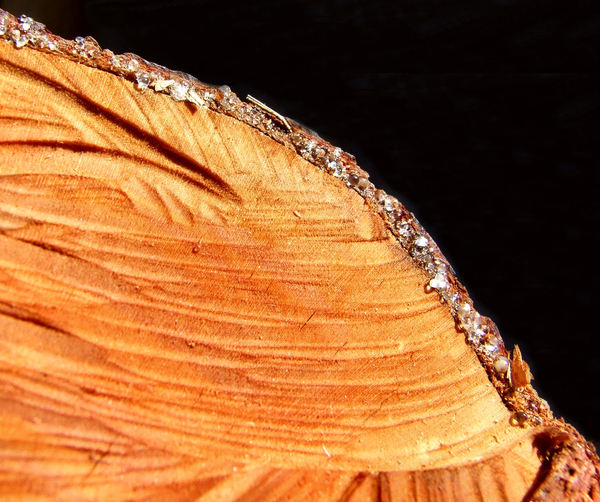 timber textures3