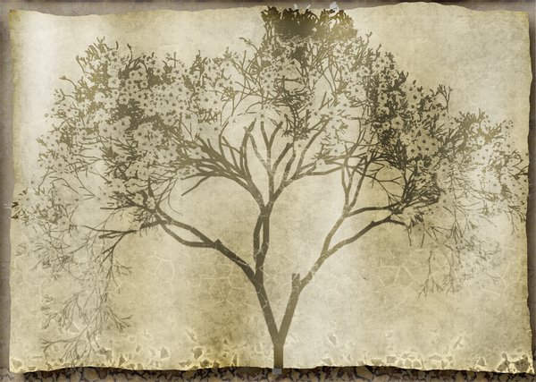 Grunge Tree: A grungy silhouette of a tree against a crazed background. Made from a public domain image.
