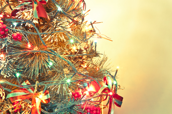 Christmas Tree 10: Photo of christmas tree