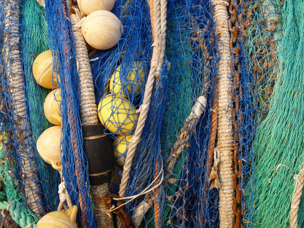 Fishing Net