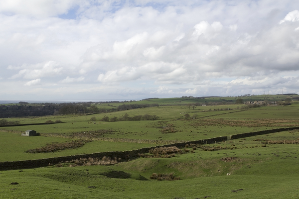 Farm landscape
