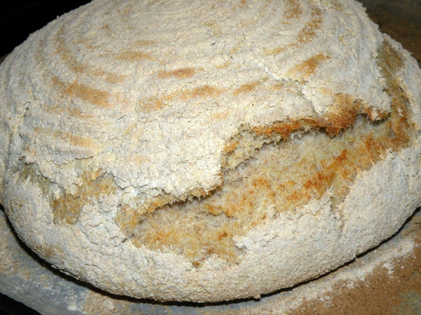 Pollaine - Bread in Basket