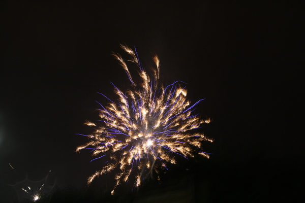 new year 2013 fireworks 2