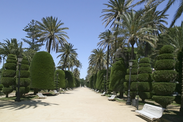Spanish park