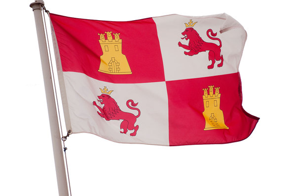Spanish Lion and Castle Flag