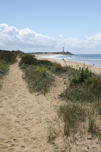 Sandy coast path