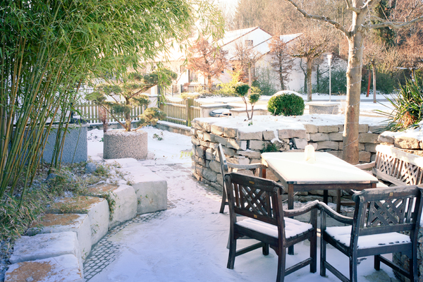 Snowy Frontyard: Garden in Winter with Snow