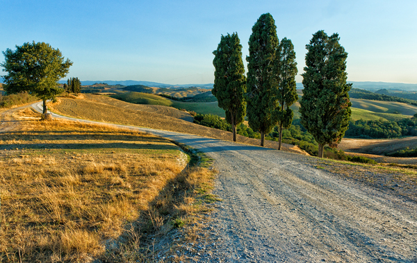 Country Road - Tuscany