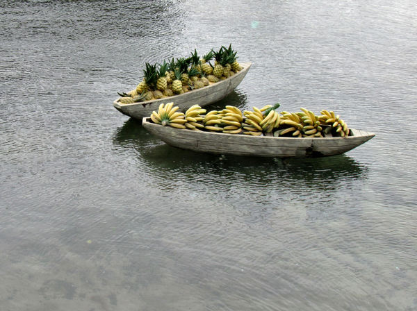 banana boat1