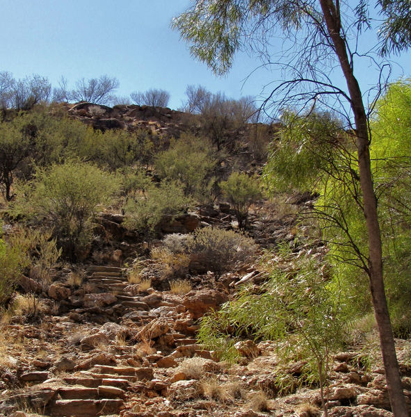 rocky outback steps1b