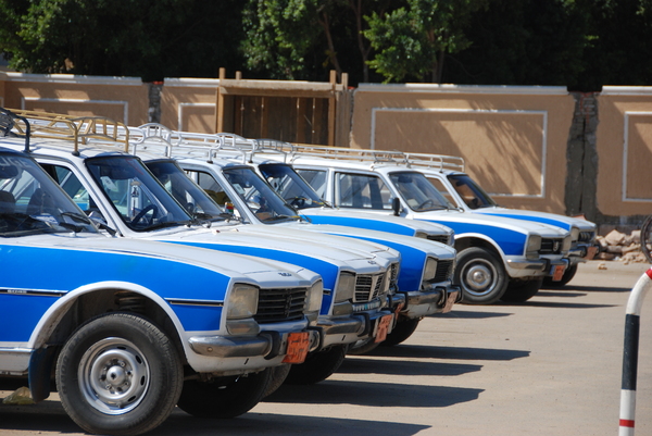 Classic taxi cabs in Egypt