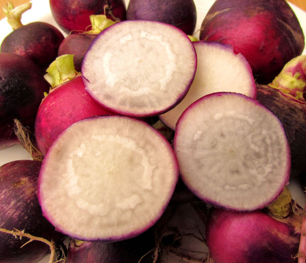 round purple radish5