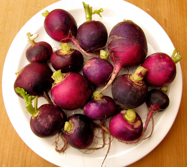 round purple radish1