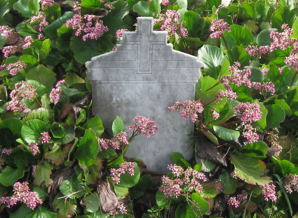 tombstone among the flowers: a tombstone in a cemetery on the hills, Liguria, Northern Italy