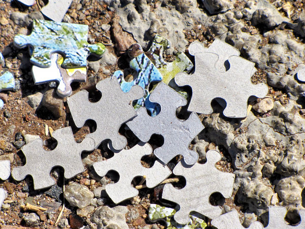 puzzling3: pieces of jigsaw puzzle scattered on roadside ground