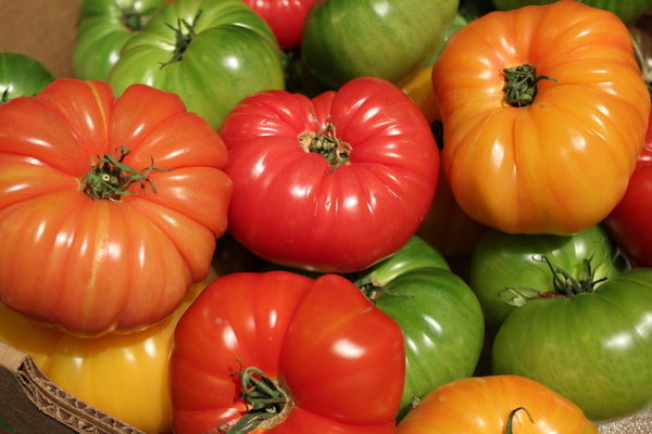 Heirloom Tomatoes: Tomatoes in basket