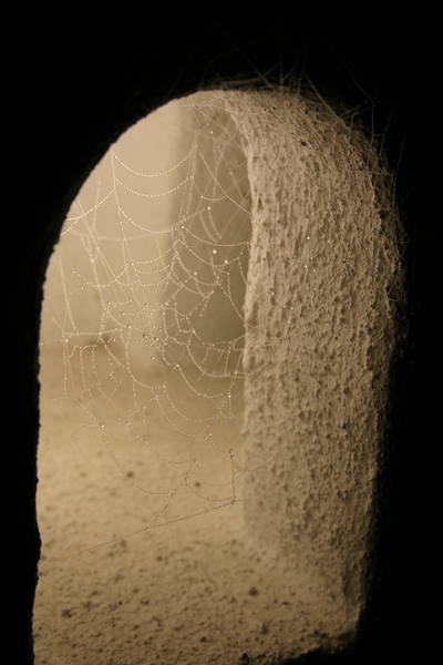 spiderweb - spider's web 2: spider's web in bonnet 2