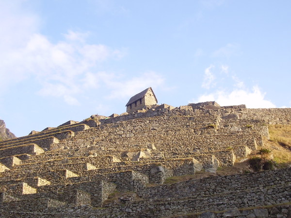 Machu Picchu - Details 1