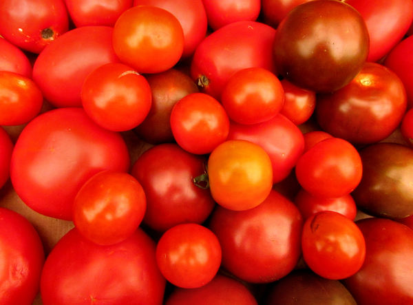 tomatoes - various6