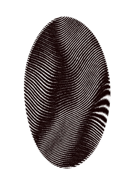 Fingerprint 2: 