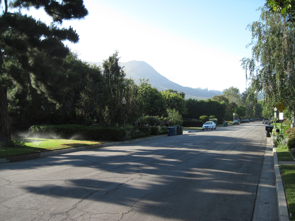 Street in Los Angeles