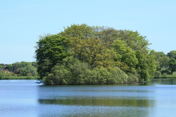 Island in a lake