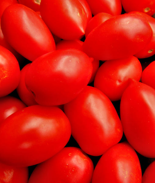 Italian tomatoes2