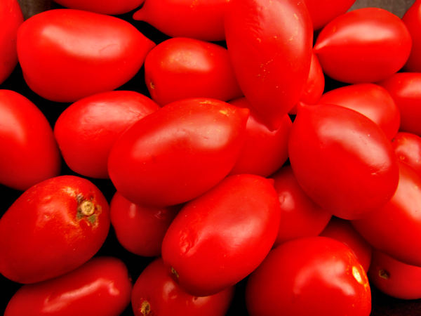 Italian tomatoes3