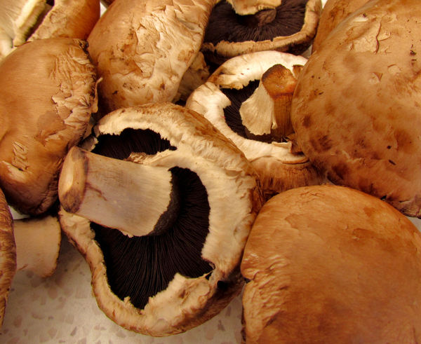 brown mushrooms5