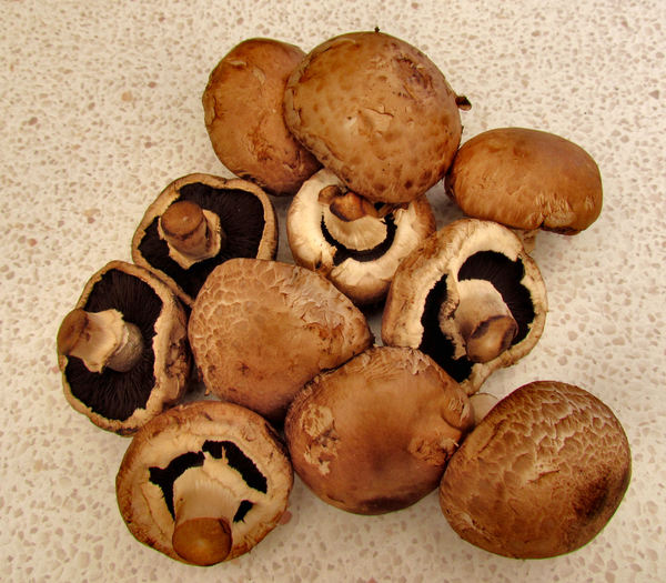 brown mushrooms1