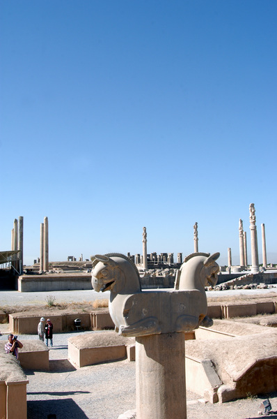 Homa, Persepolis
